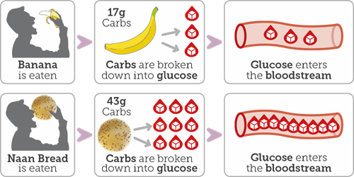 Diagram showing how carbohydrates are broken down to glucose