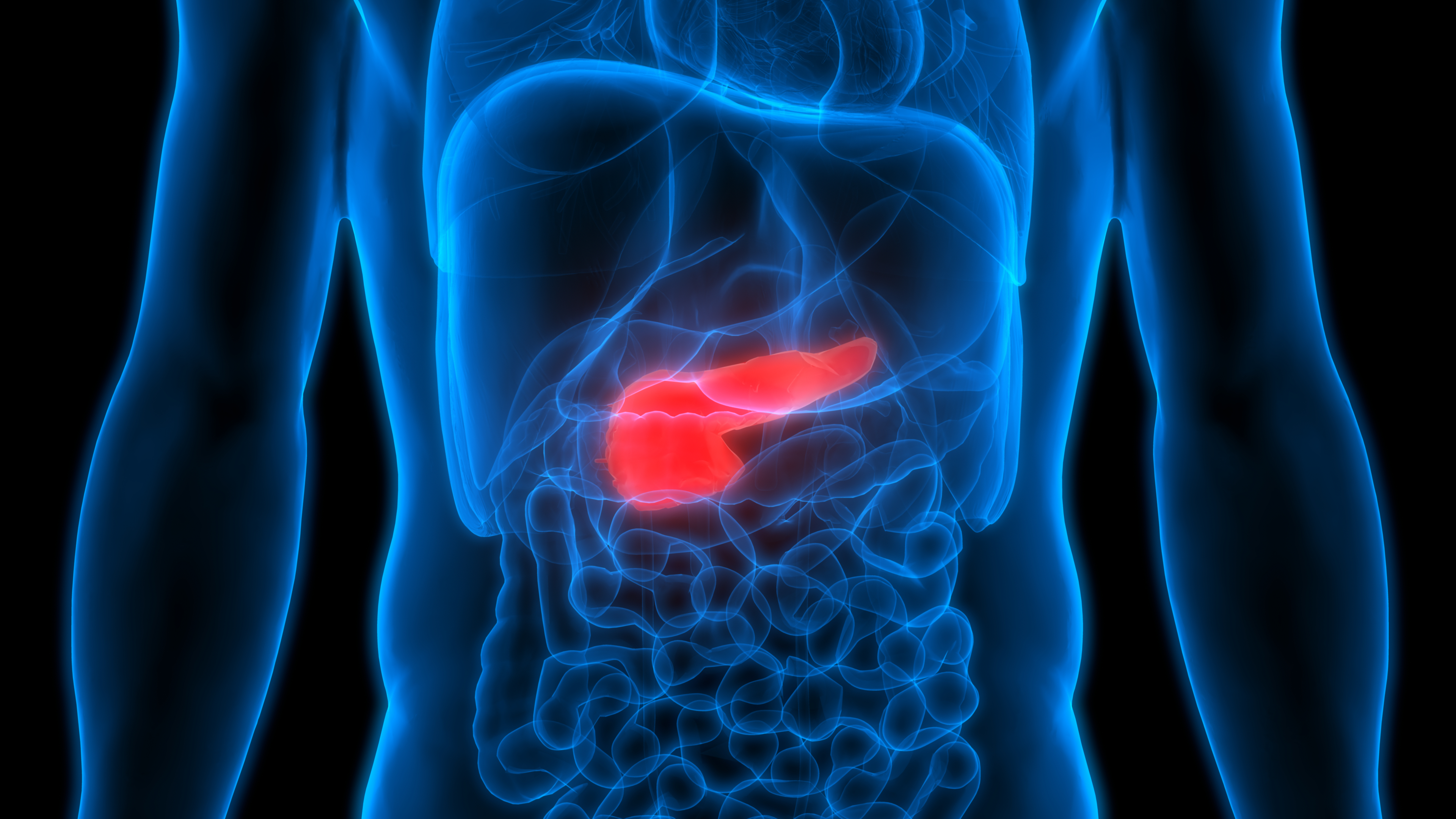 Outline of body with pancreas highlighted