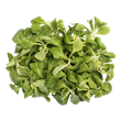 lambs lettuce salad leaves