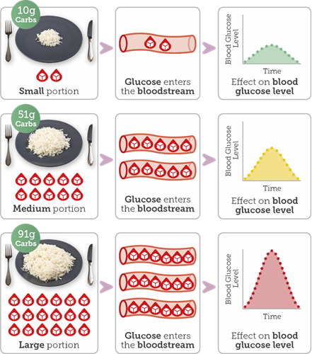 Diagram showing the effect of different portions of white rice on blood glucose levels