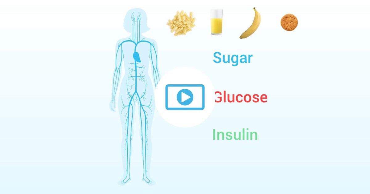 Diagram of human body with words sugar, glucose & insulin