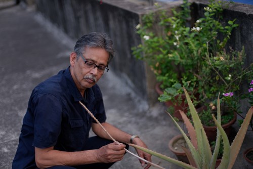 An old/aged Indian Bengali man in blue shirt is gardening on a rooftop under the open sky
