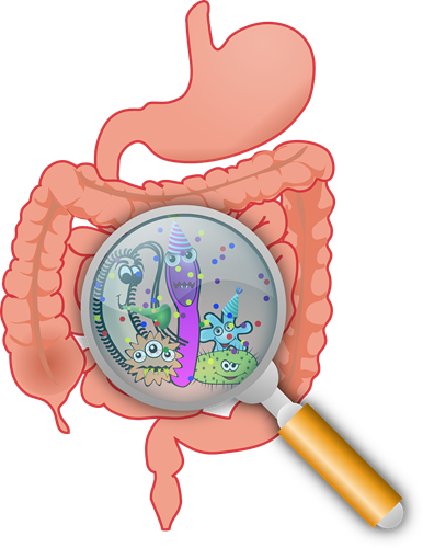 Microbiome in gut