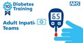 Diabetes 10 Point training Adult inpatient teams