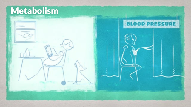 Metabolism